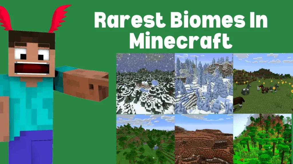 Rare Biomes in Minecraft